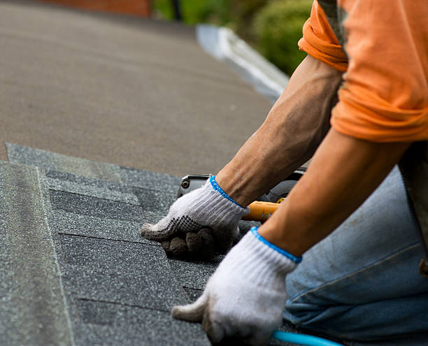 Best Storm Damage Roof Repair  in Berryville, AR